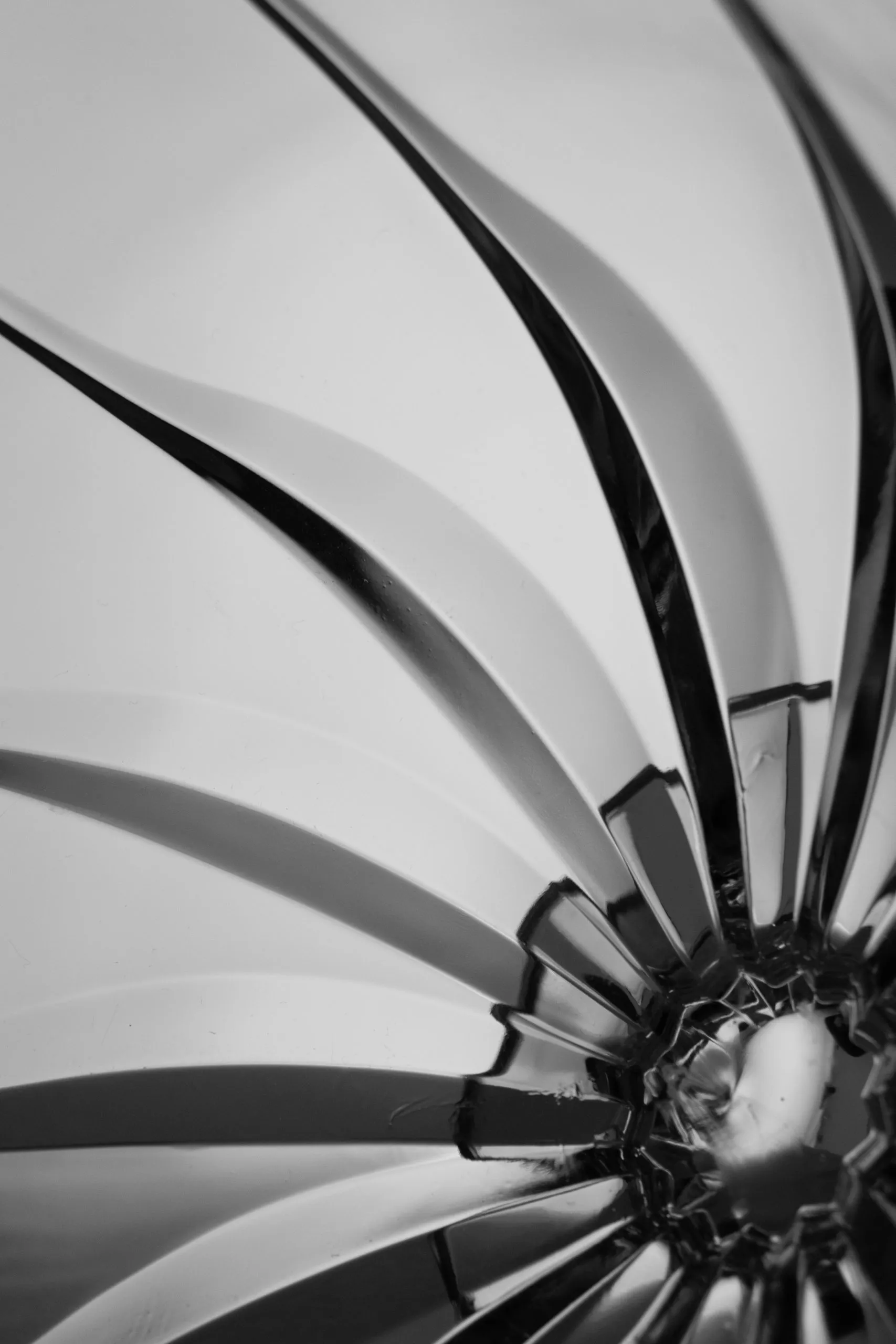 Andrea Cristina Menegon