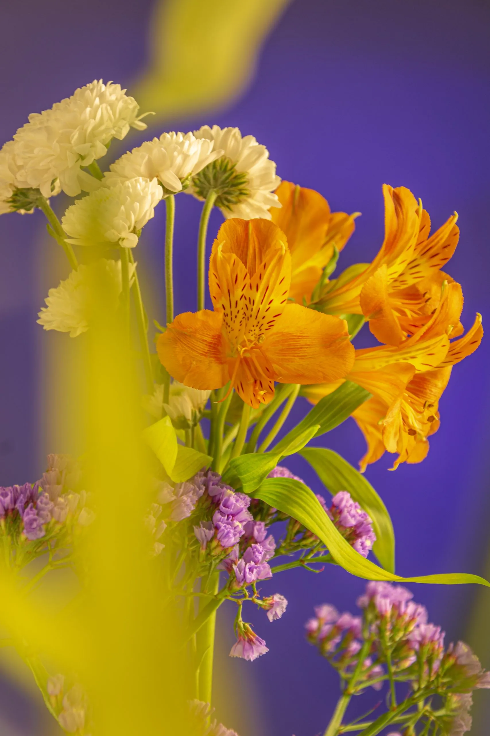 Pedro Paulo Cerqueira